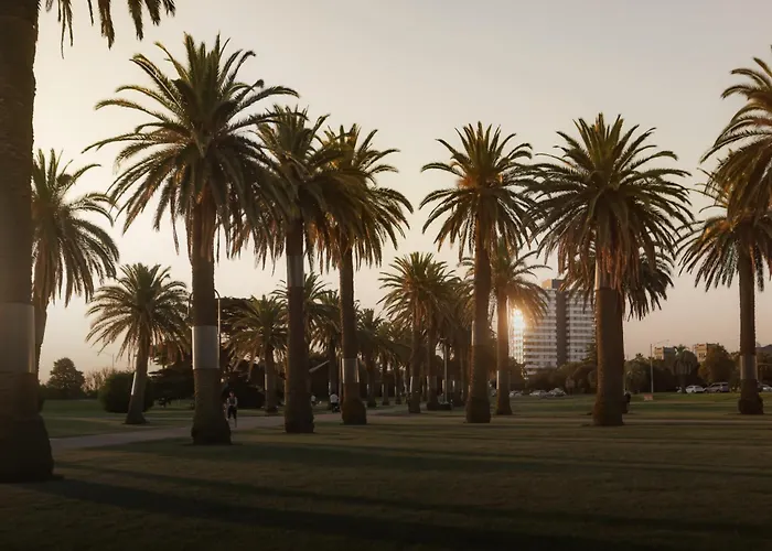 Mac St Kilda Blessington St By Melbourne Apartment Collection che accetta animali